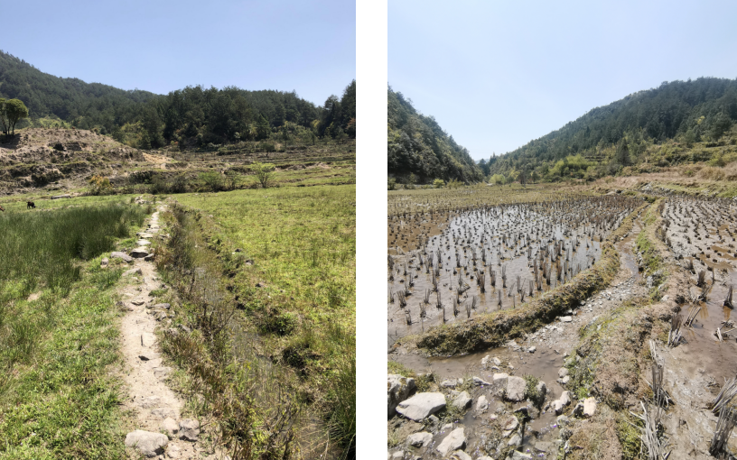 寿宁县托溪乡渺洋村2020年 高标准农田建设示范项目