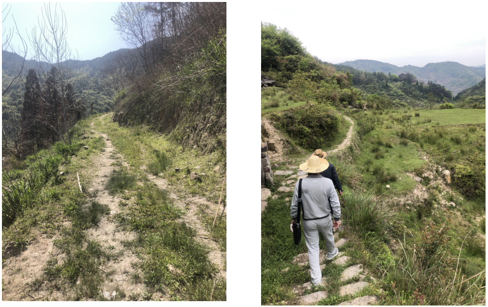 寿宁县托溪乡圈石村2020年高标准农田建设项目