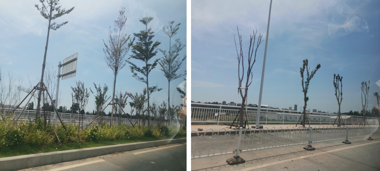 福清市三山镇温泉旅游区沁前至南倪温泉大道公路工程水土保持监理监测验收